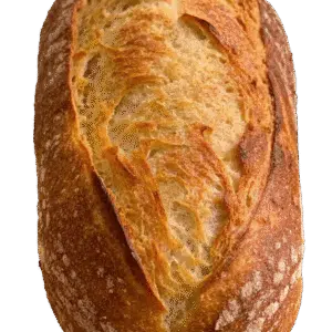 Sourdough bread in Lalitpur – Wild Crust by DejaVu Bakery