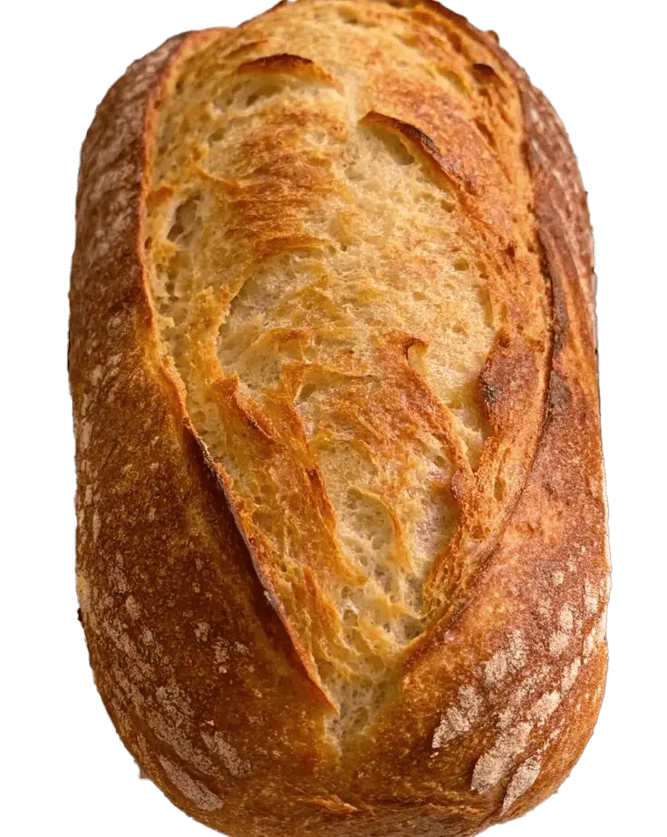 Sourdough bread in Lalitpur – Wild Crust by DejaVu Bakery