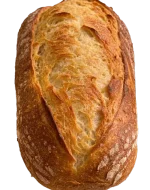 Sourdough bread in Lalitpur – Wild Crust by DejaVu Bakery